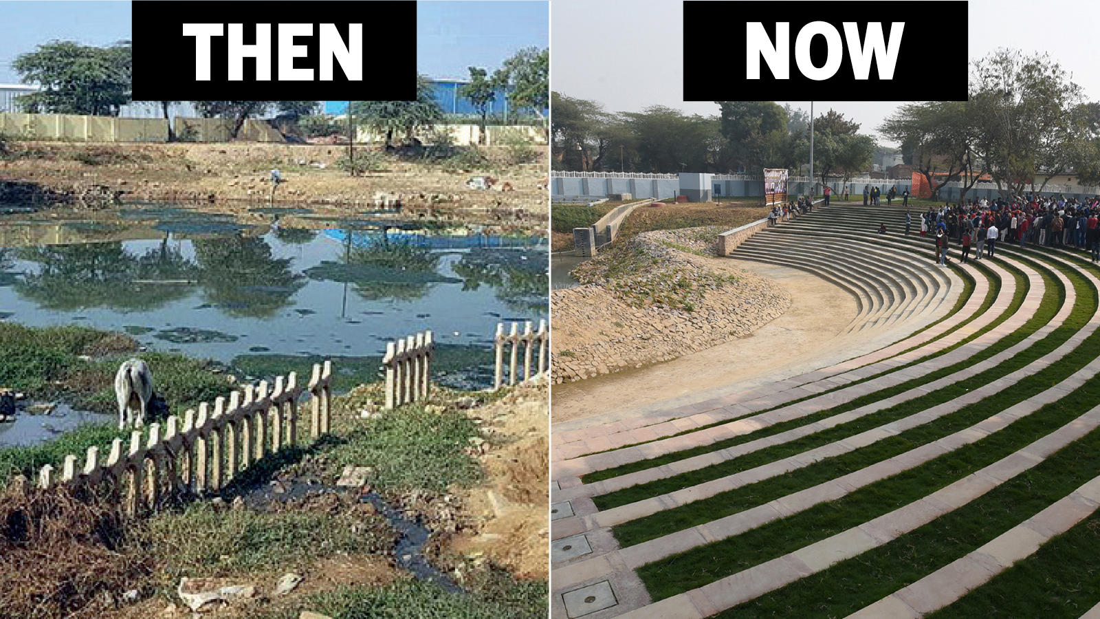 How Delhi's Rajokri lake was revived