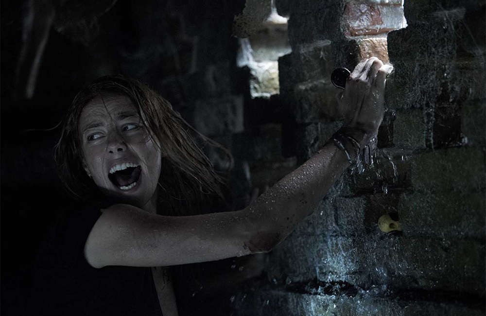 Crawl Movie User Reviews & Ratings | Crawl (2019) | Times Of India