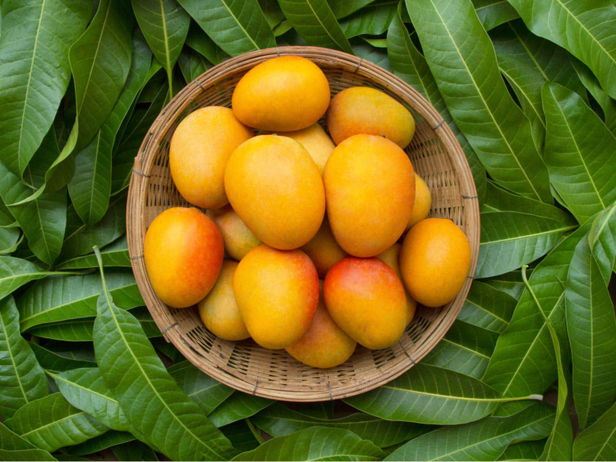 The 4 Best Mango Varieties​