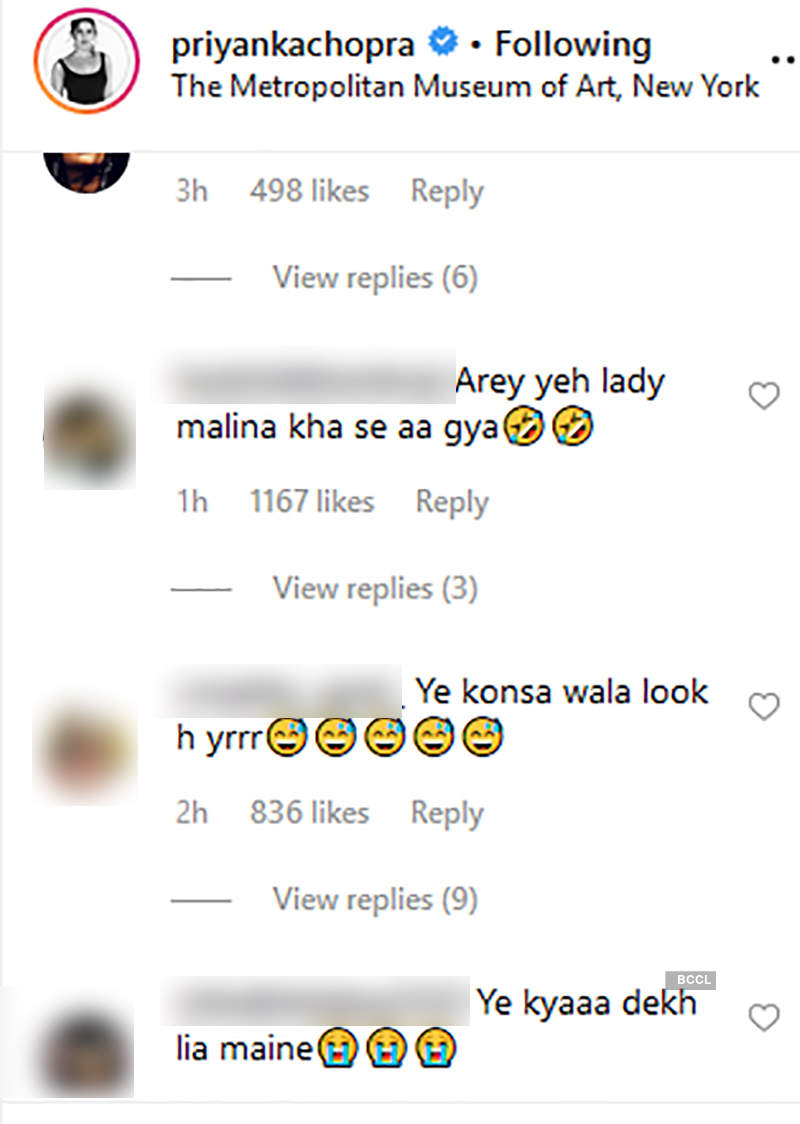 Priyanka Chopra gets brutally trolled for her 2019 Met Gala look