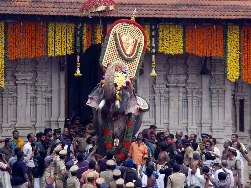 Kerala: Elephant Raman takes Thrissur Pooram fervour to new levels ...