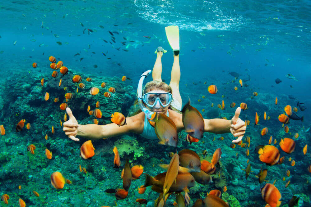 Fun Summer Vacation Ideas For Those With Kids World Times Of India Fun Summer Vacation Ideas For Those With Kids World Times Of India