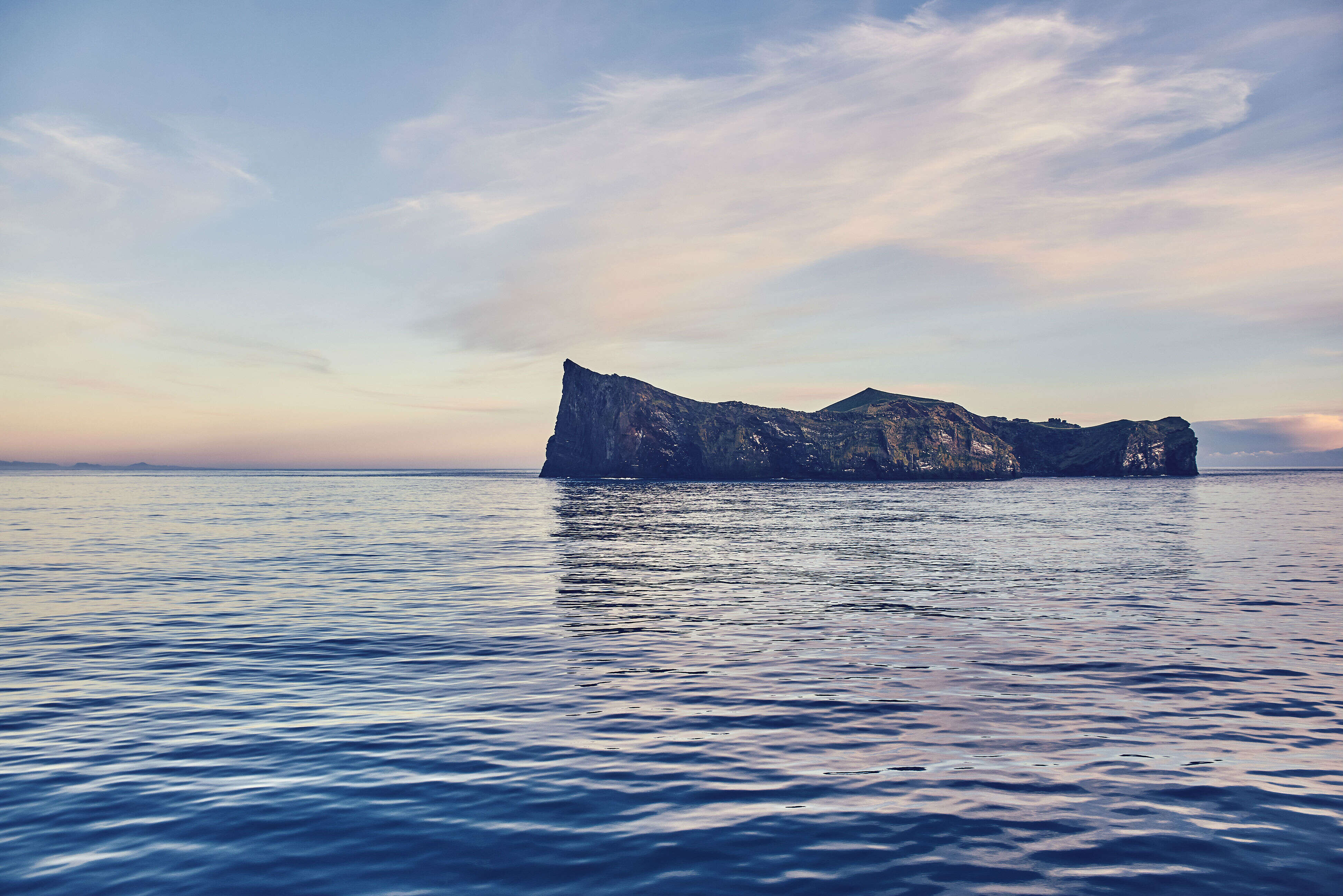Iceland to acquire world's first deep-sea beluga sanctuary Iceland to acquire world's first deep-sea beluga sanctuary
