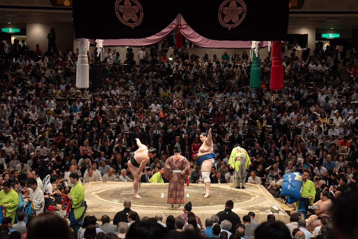 Donald Trump enjoys sumo wrestling in Japan