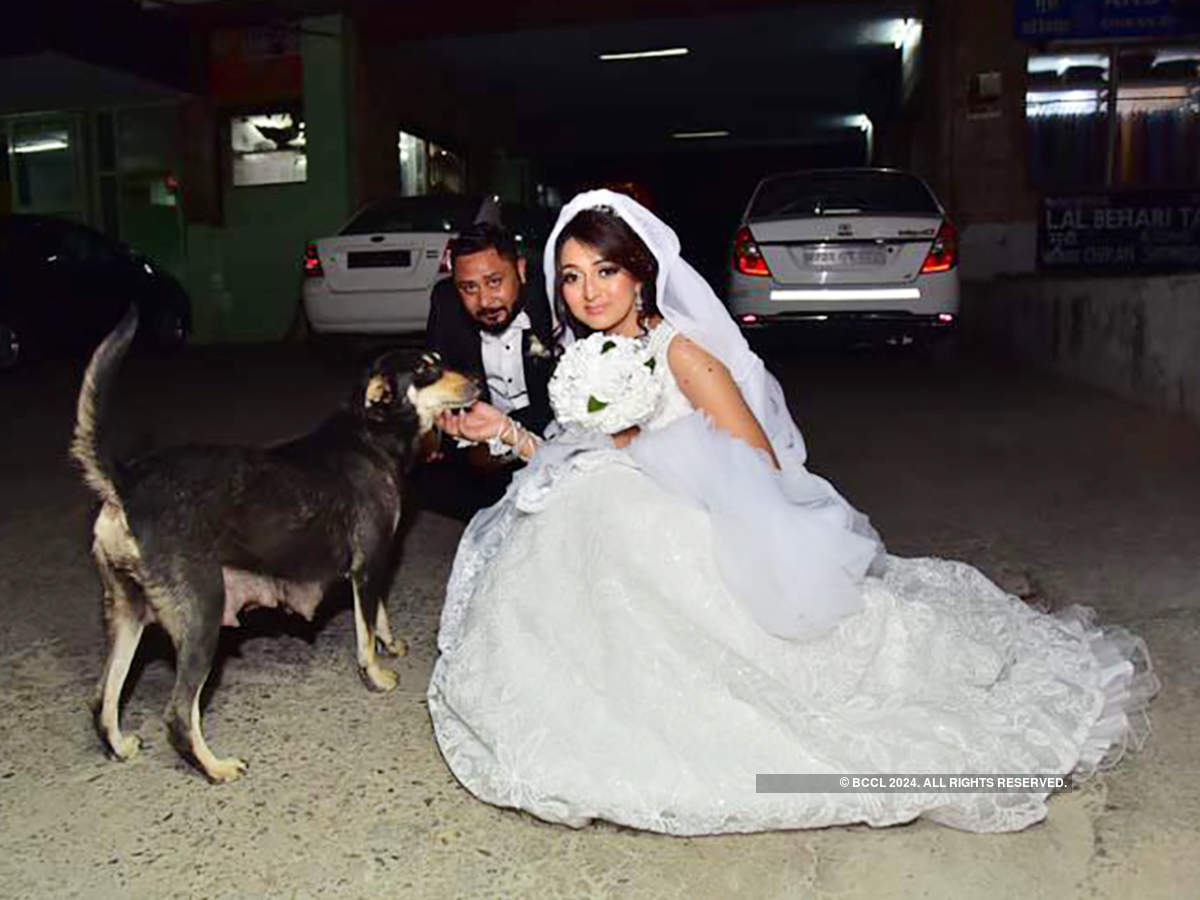 Love for strays brought this couple together