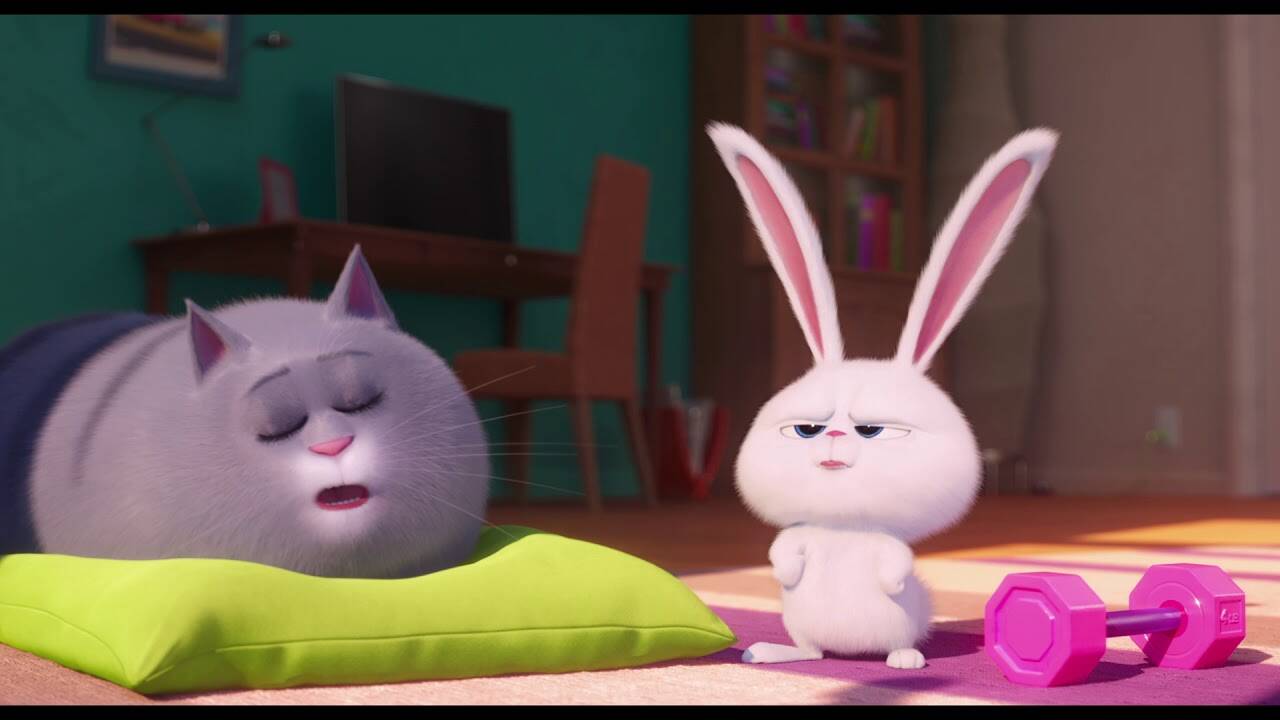 The Secret Life of Pets 2 - Official Hindi Trailer | Hindi Movie News - Bollywood - Times of India The Secret Life of Pets 2 - Official Hindi Trailer | Hindi Movie News - Bollywood - Times of India