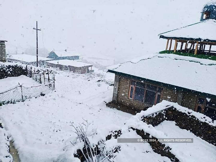 Kashmir's Sonamarg receives fresh snowfall