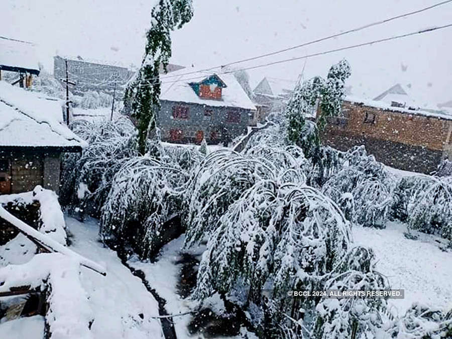 Kashmir's Sonamarg receives fresh snowfall