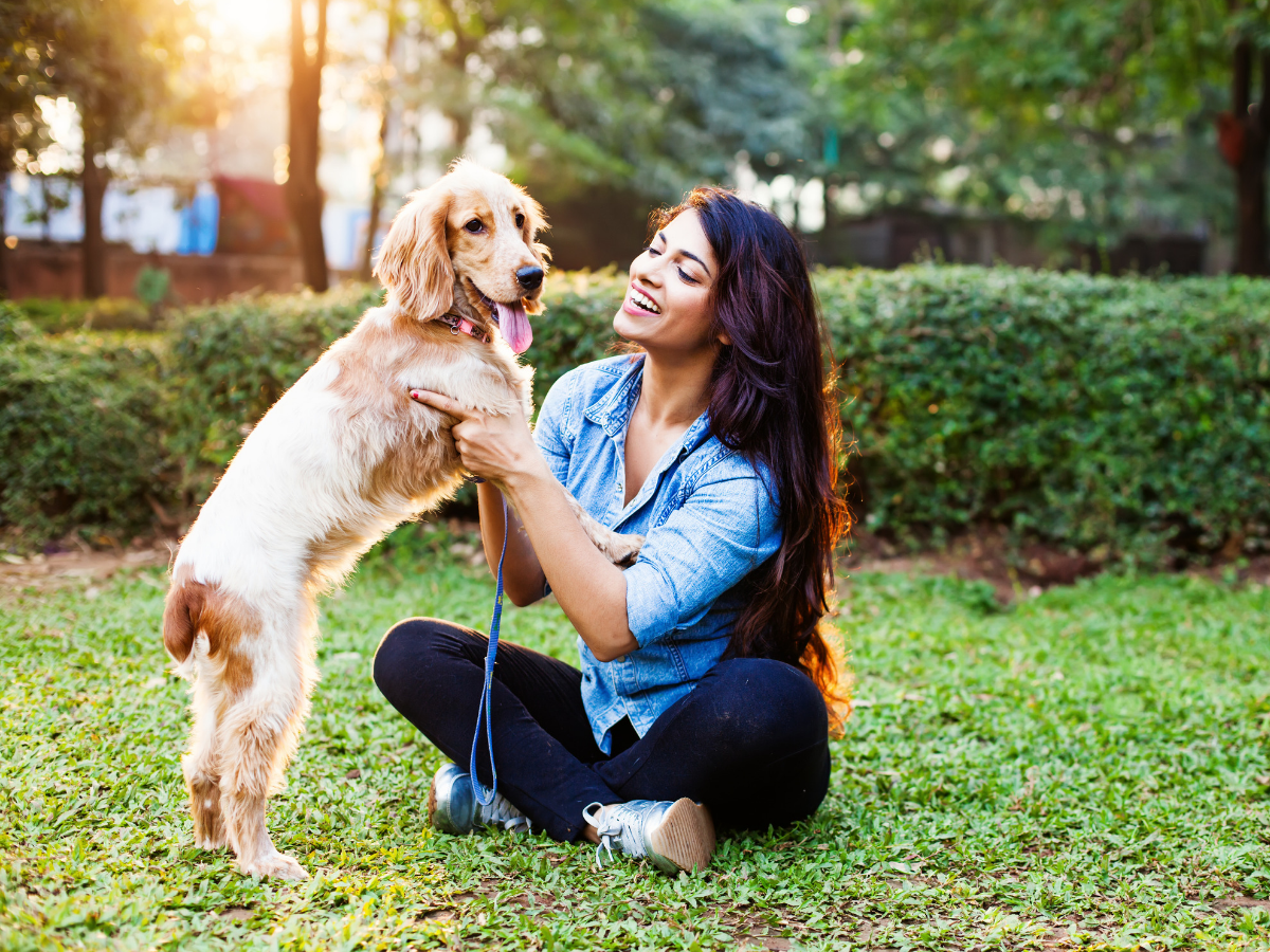 Own A Dog? Get Answers To Your Questions Here | Pet Econo