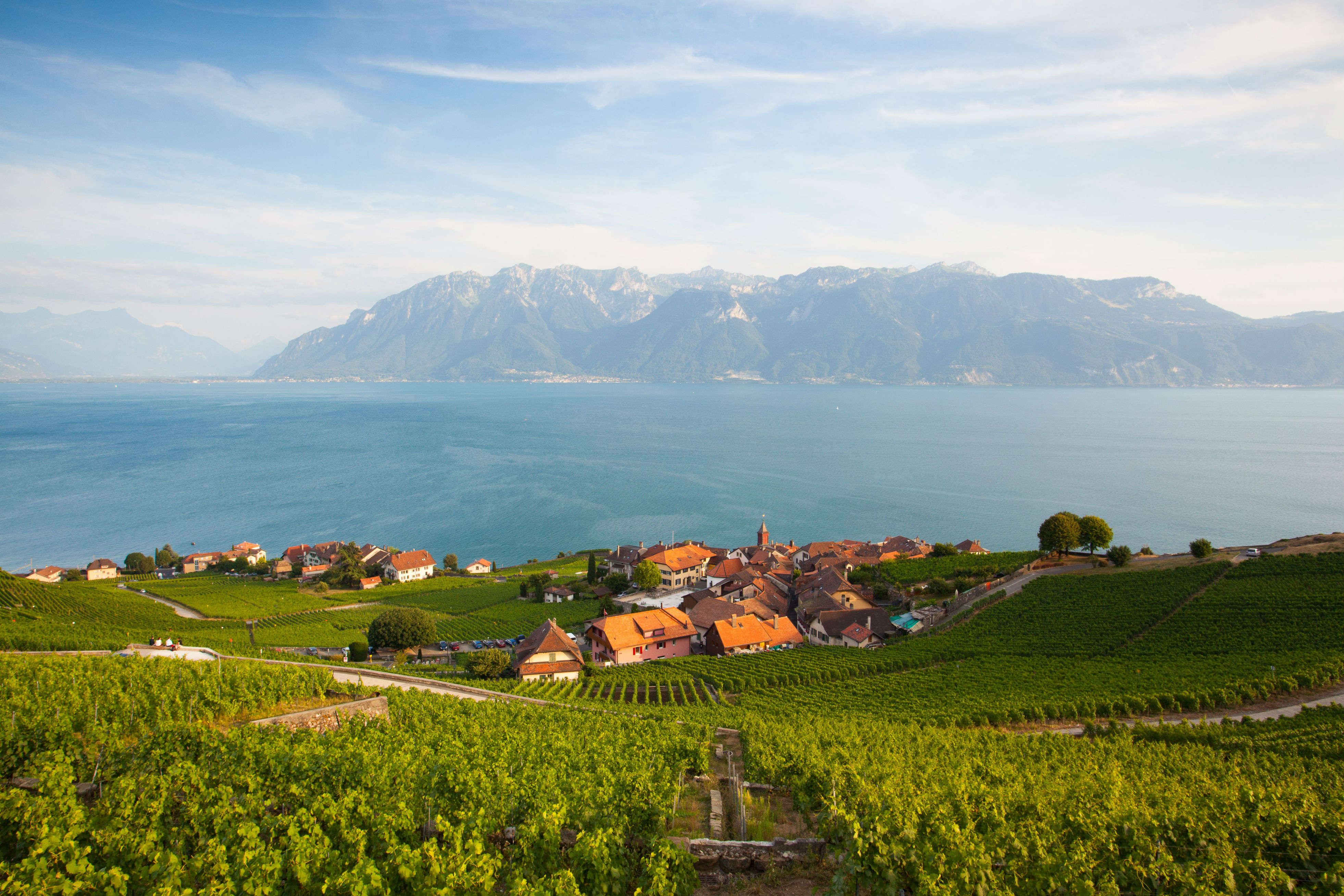 Festival of Winegrowers—Swiss wine festival is back after twenty years |  Times of India Travel