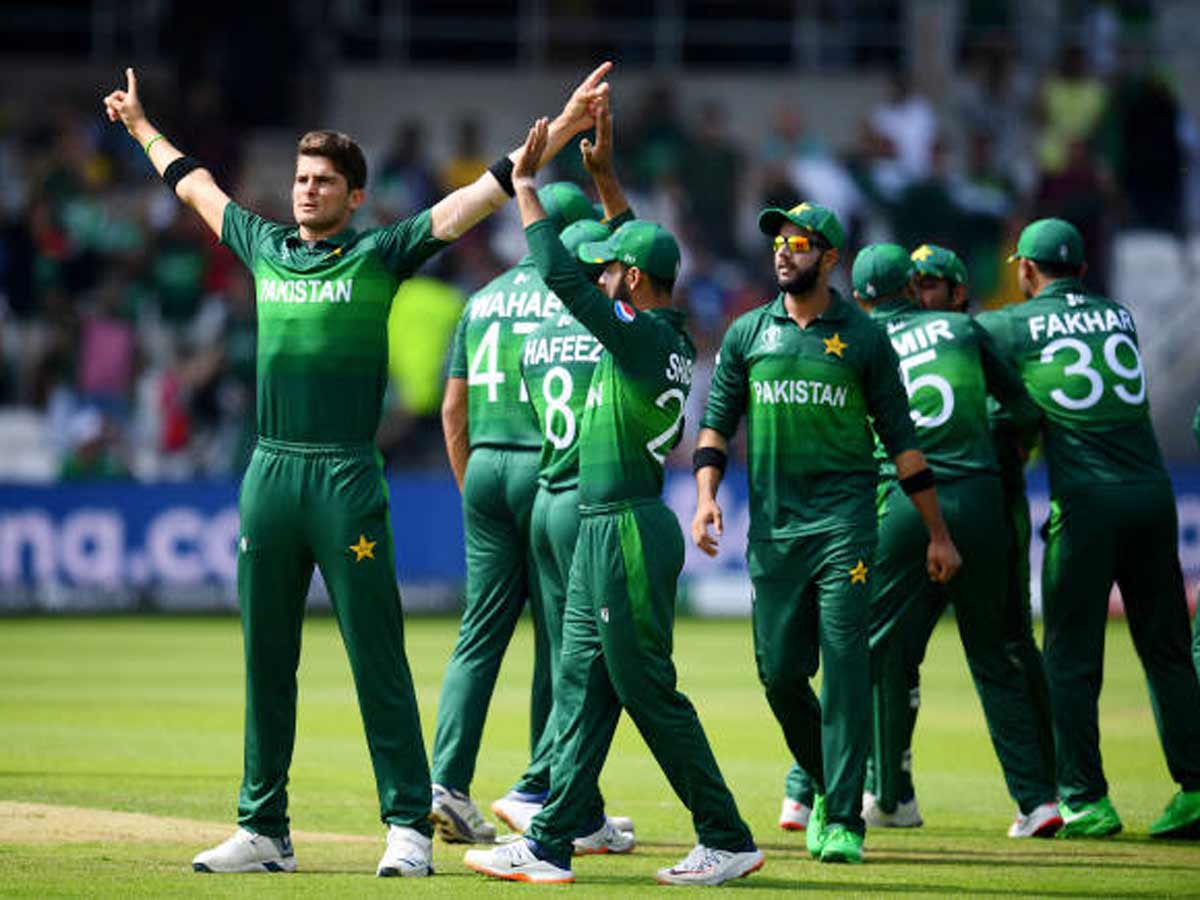 Pakistan vs Afghanistan, World Cup Imad Wasim leads Pakistan to