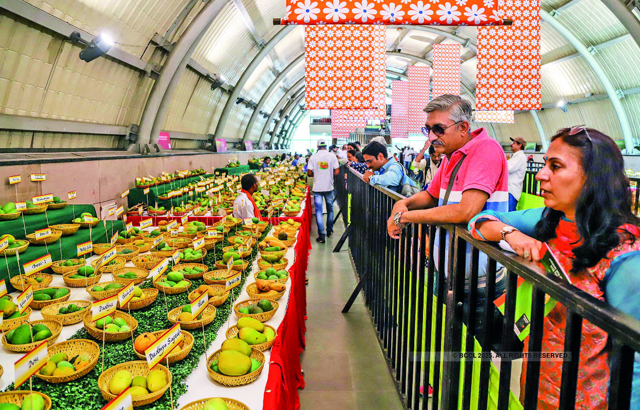 Delhiites relish at 31st Mango Festival