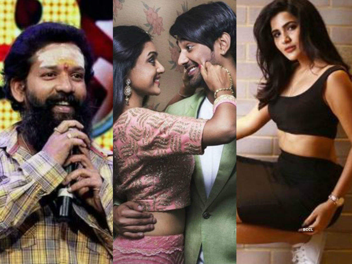 Bigg Boss Telugu 3 Full And Final Contestants List A Look At The