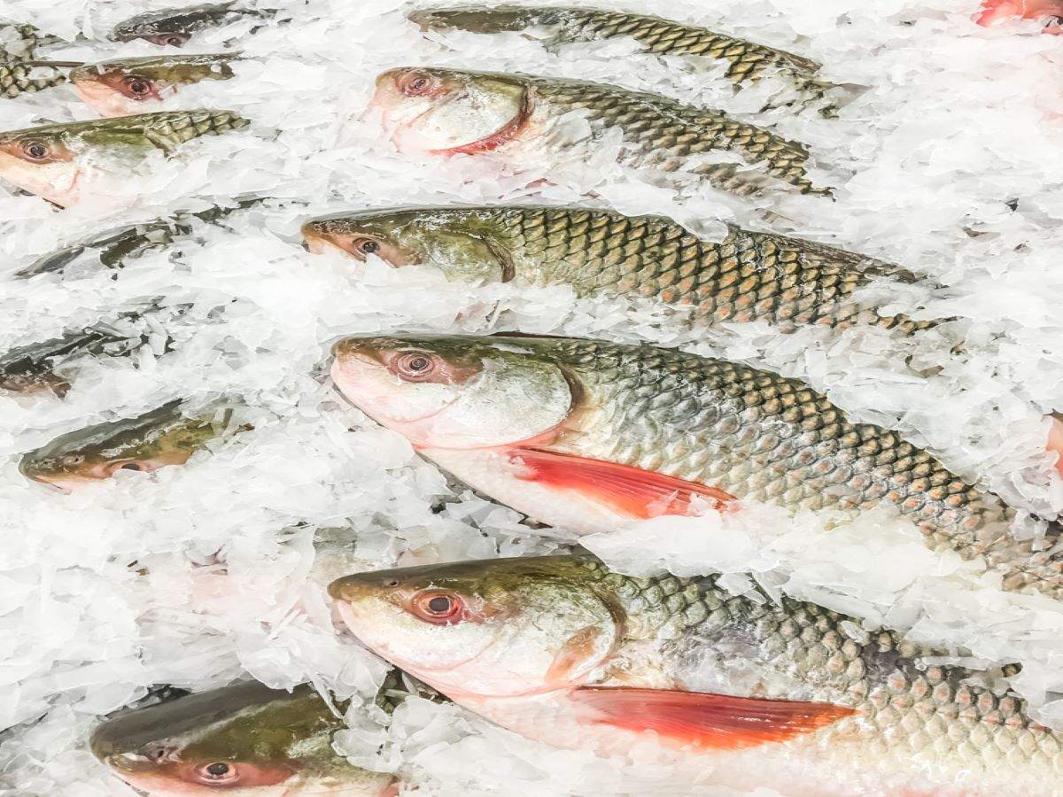 10 Healthiest Indian Fish Varieties And Why You Must Have Them