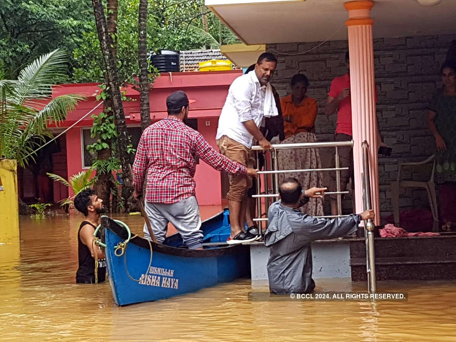 After Vadodara, crocodiles create panic in flood-hit Karnataka