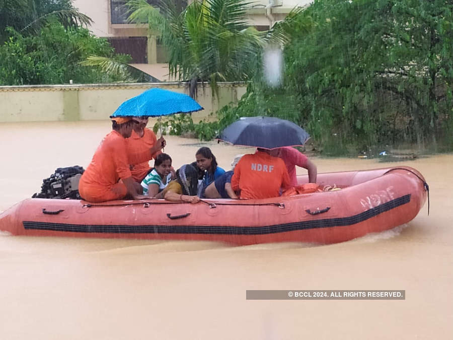 After Vadodara, crocodiles create panic in flood-hit Karnataka