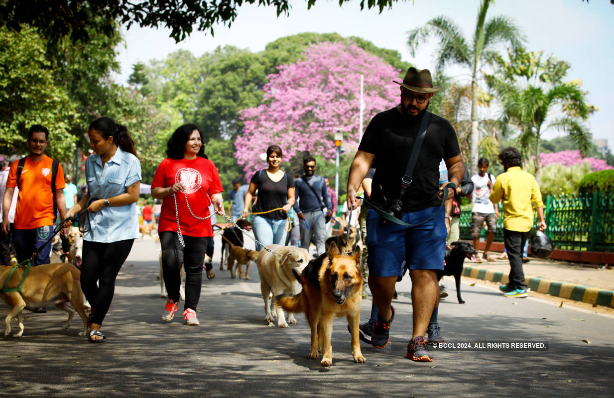 What makes Bengaluru a street photographer’s delight