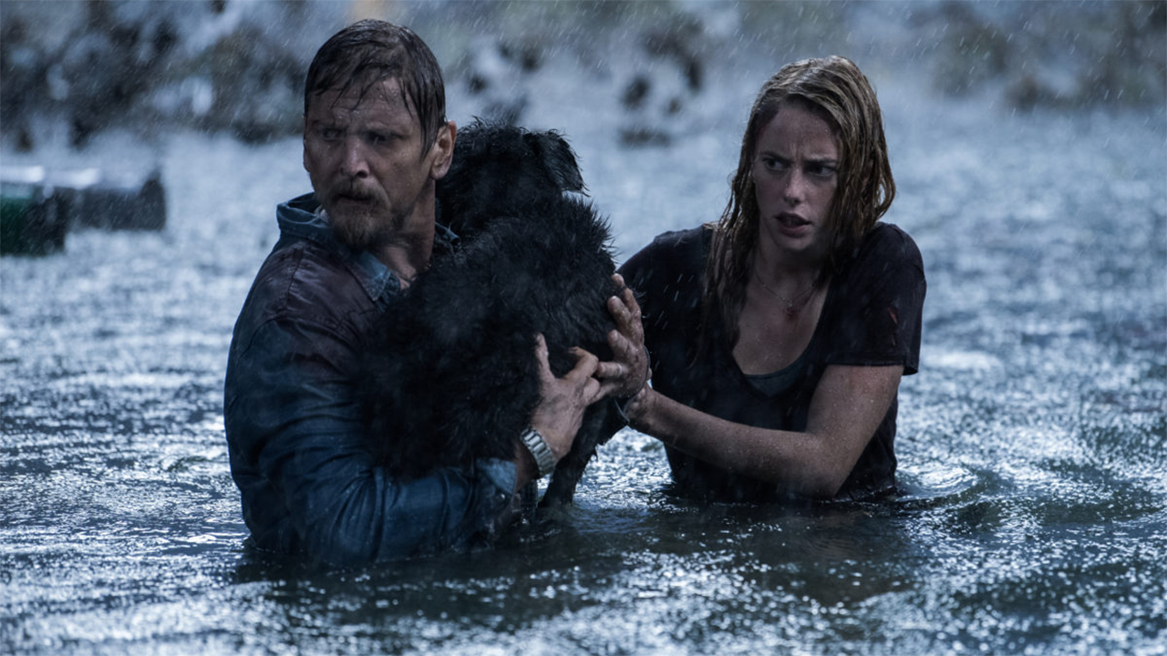 crawl.banner