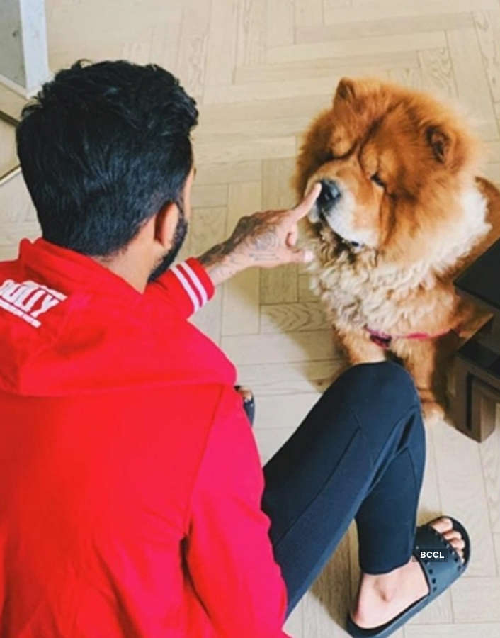 Indian cricketers share pics of their adorable dogs on International Dog Day