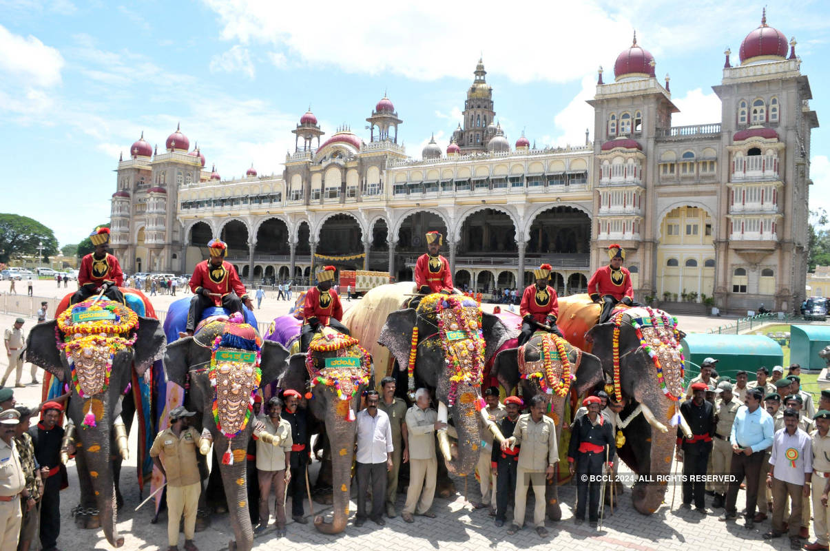 Dasara Elephants Reach Mysore Palace- The Etimes Photogallery Page 4