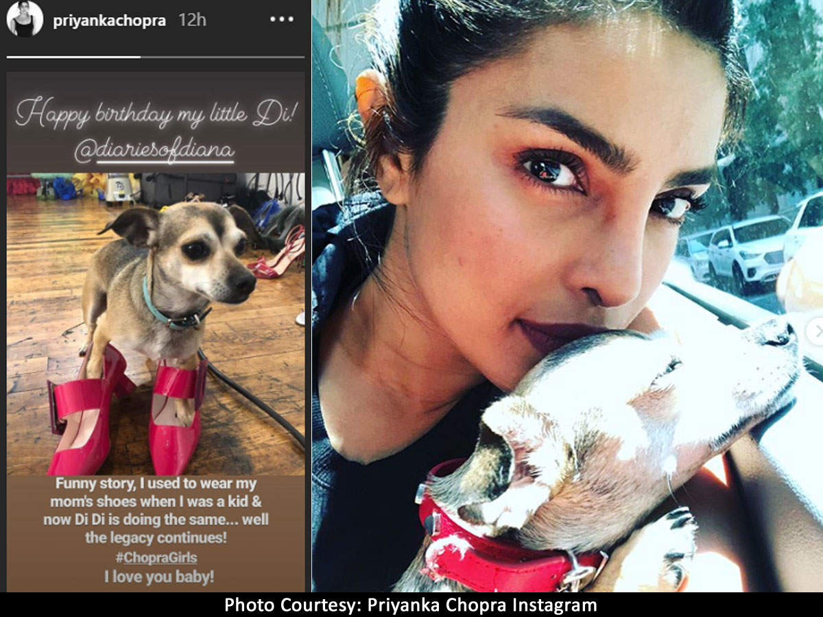 ​Priyanka Chopra’s birthday post for her pooch Diana will bring a smile to your face