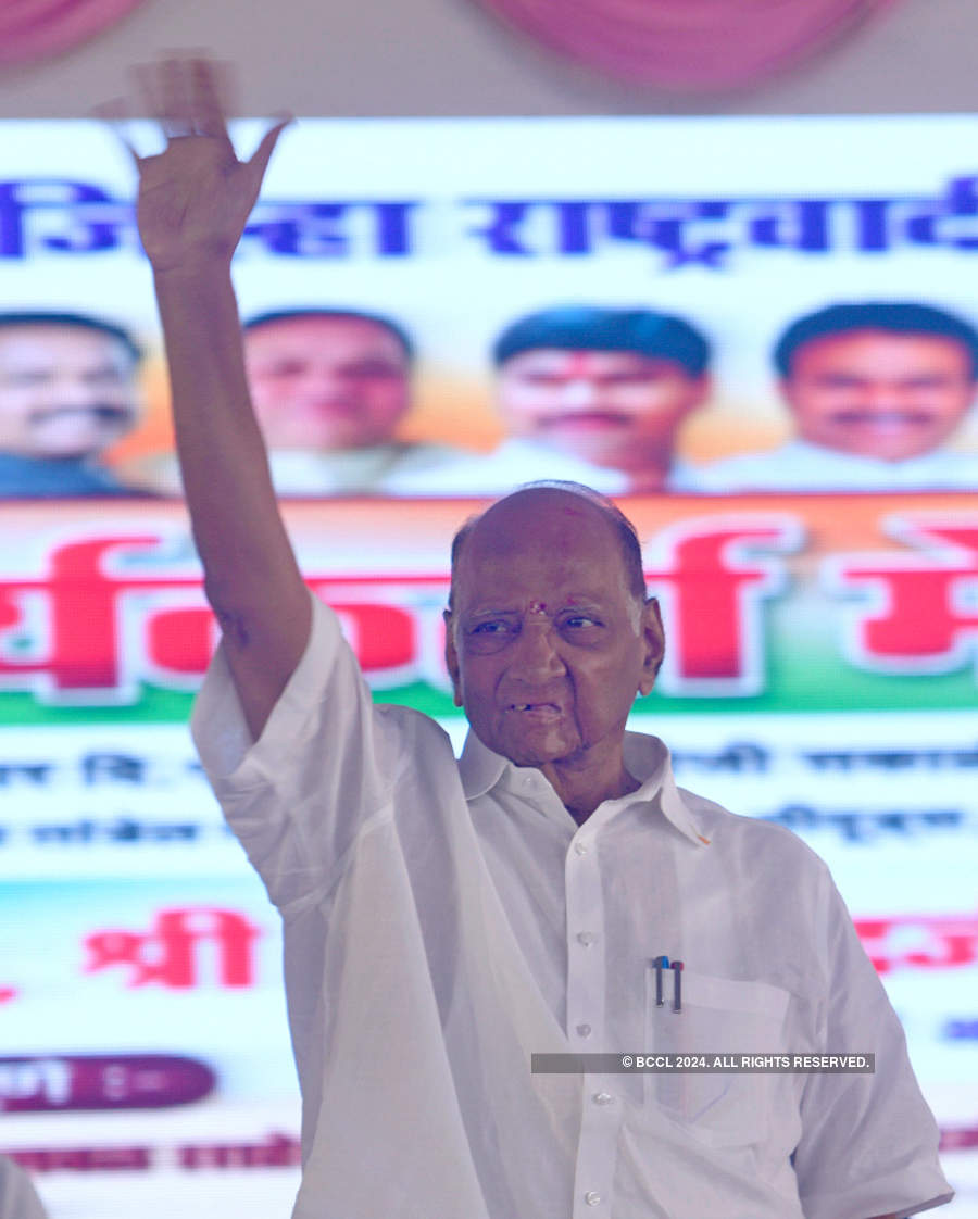 Pawar speaks out against lynchings, says harmony needed for development