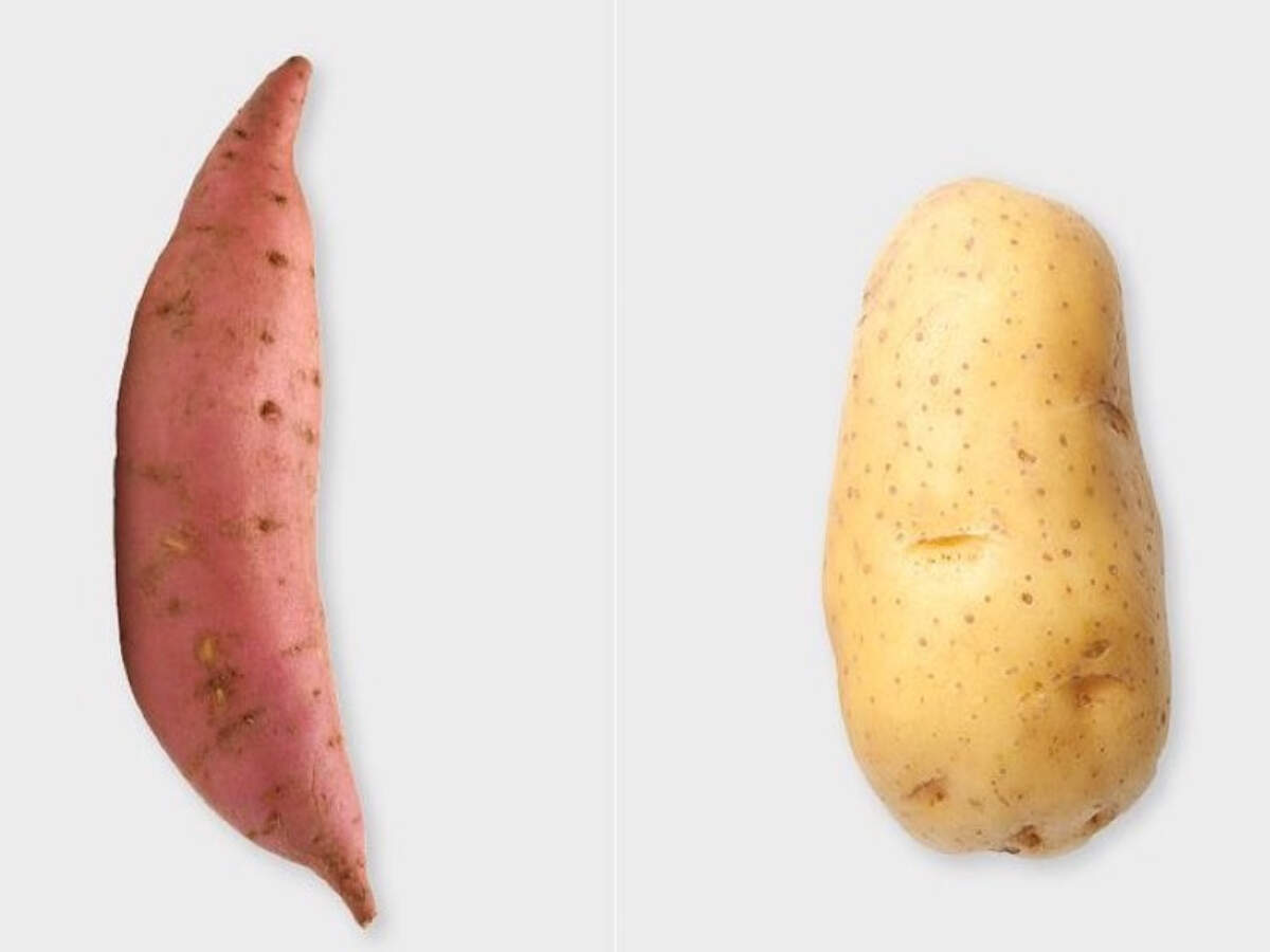 Sweet Potato vs White Potato