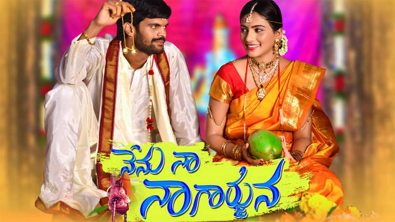 ​Nenu-Naa-Nagarjuna​DB