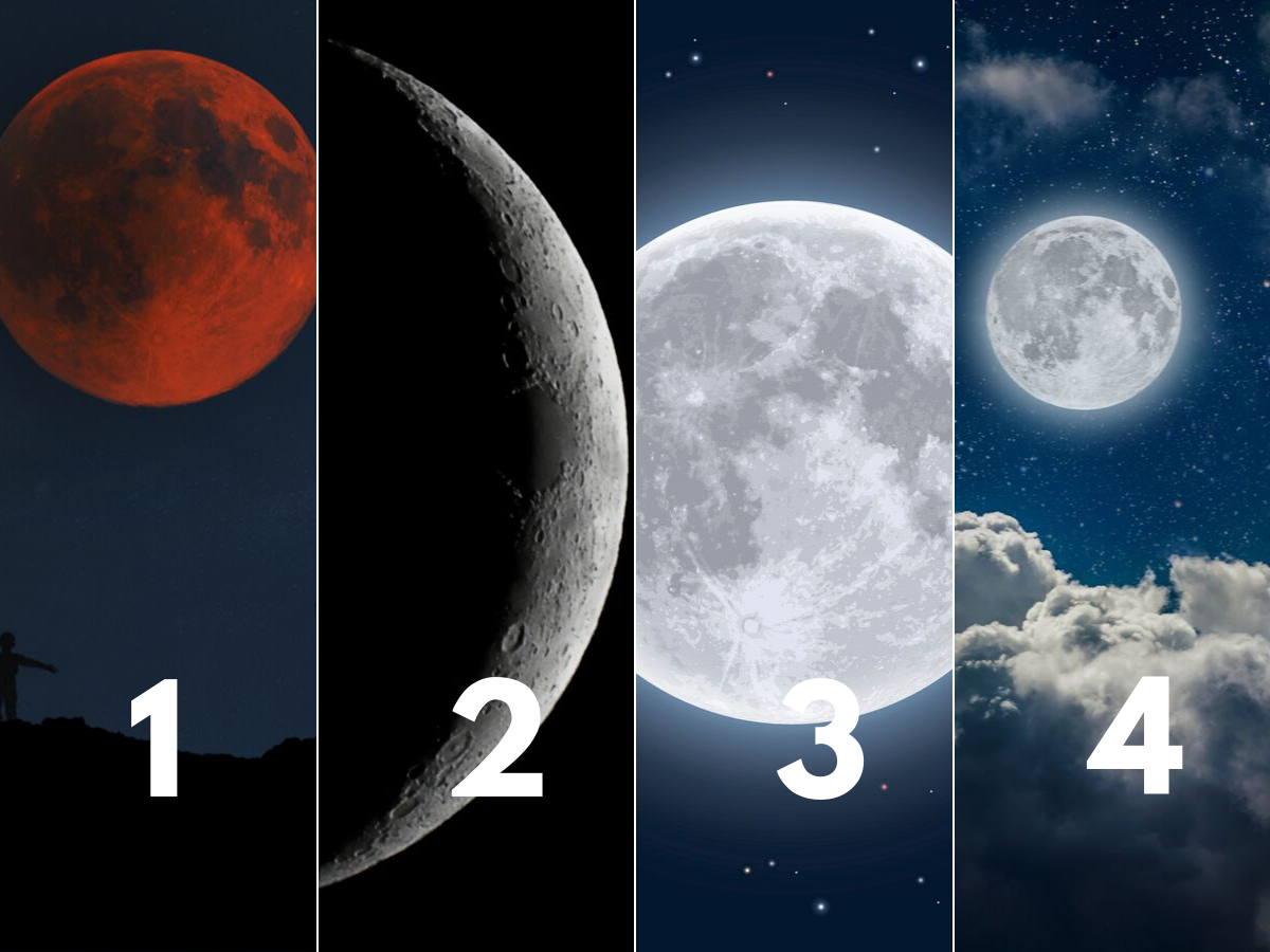 Choose Your Favourite Moon And We Will Tell You Your Personality Type The Times Of India