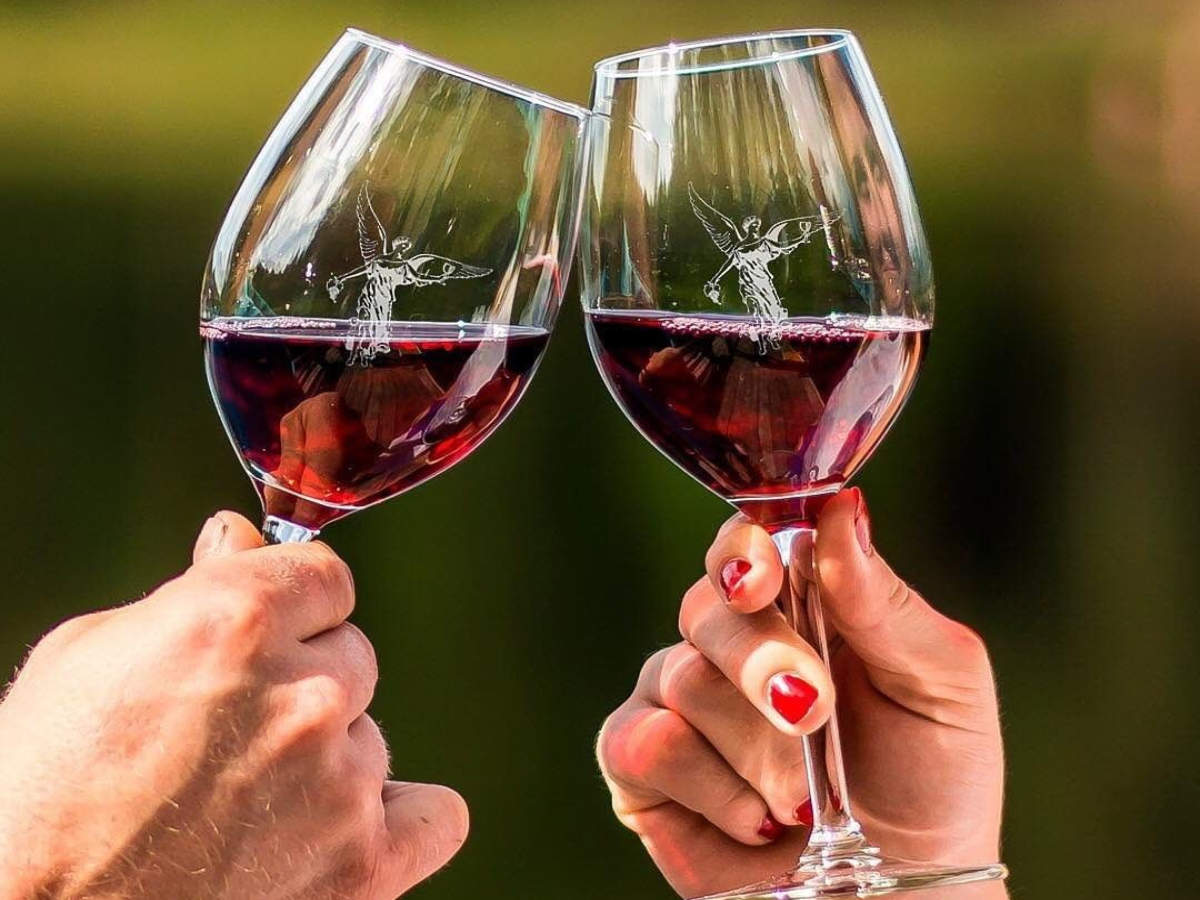 Red wine can cure anxiety and depression: Study | The Times of India