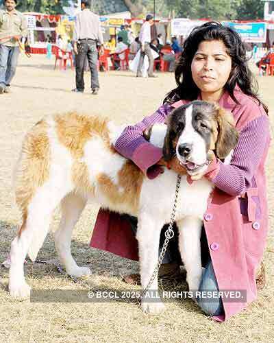 Dog Show in Lucknow