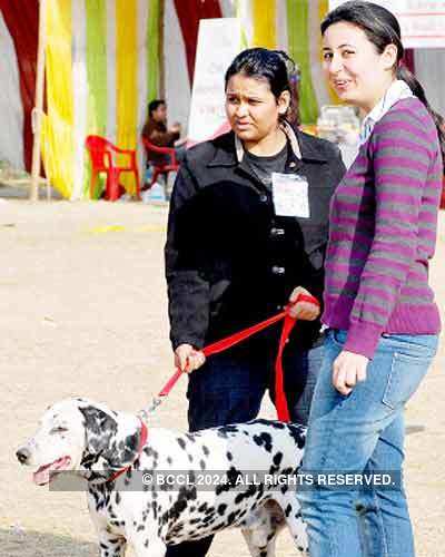 Dog Show in Lucknow