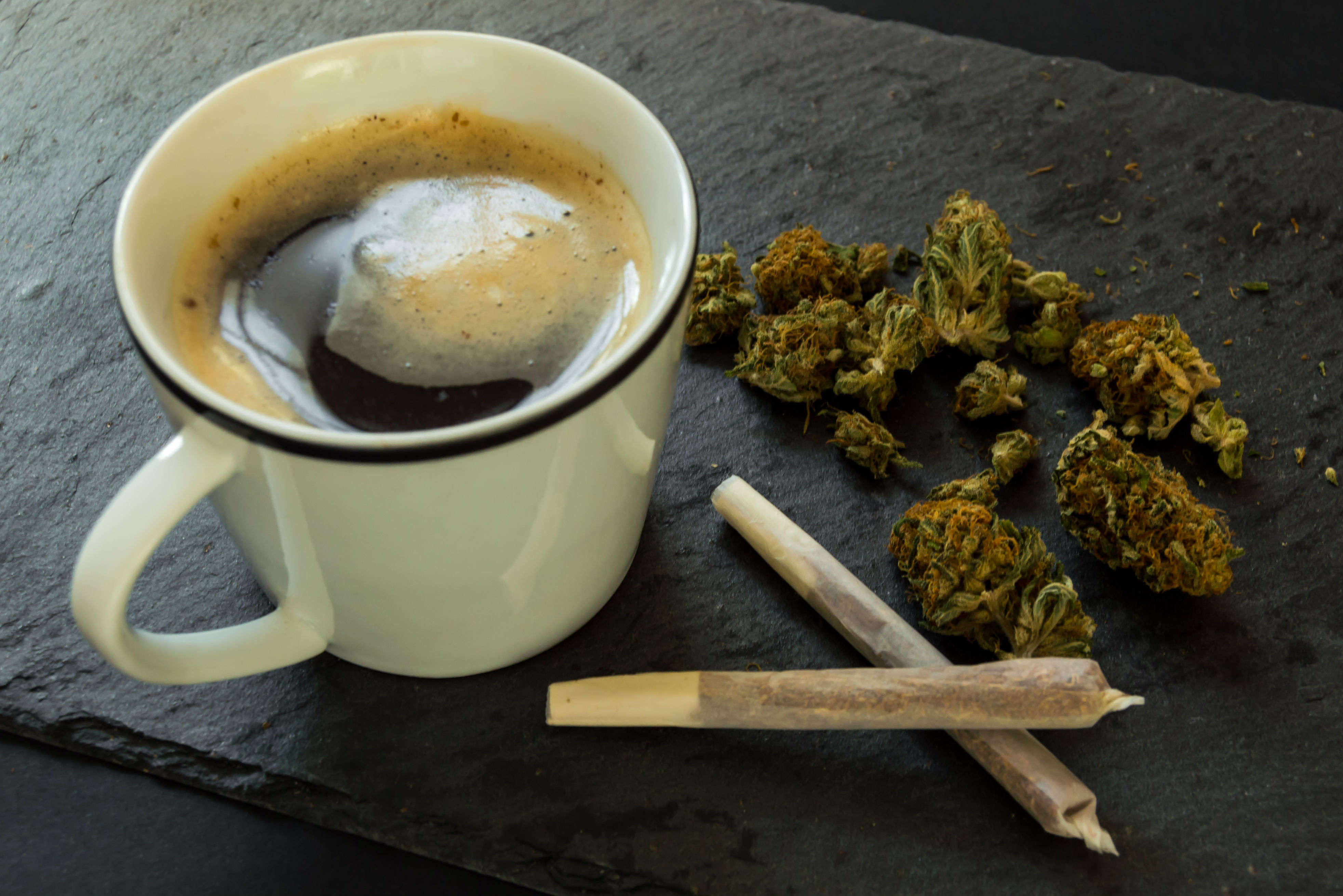 The first cannabis cafe opens in California | Times of India Travel