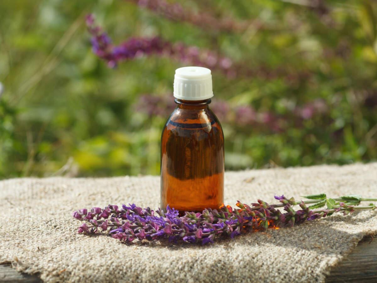 Clary sage