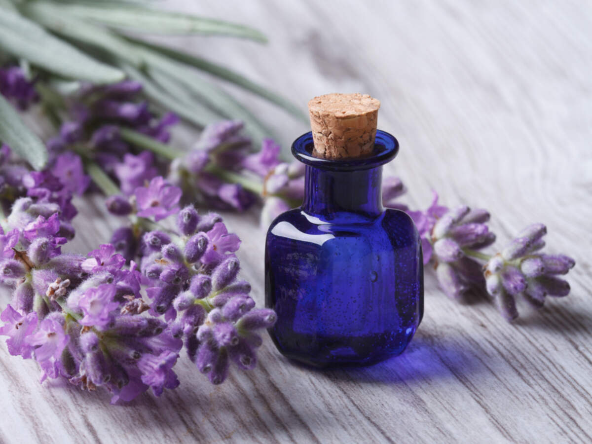 Lavender oil