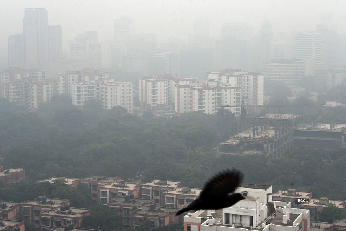 Shocking pictures of thick blanket of smog covering Delhi