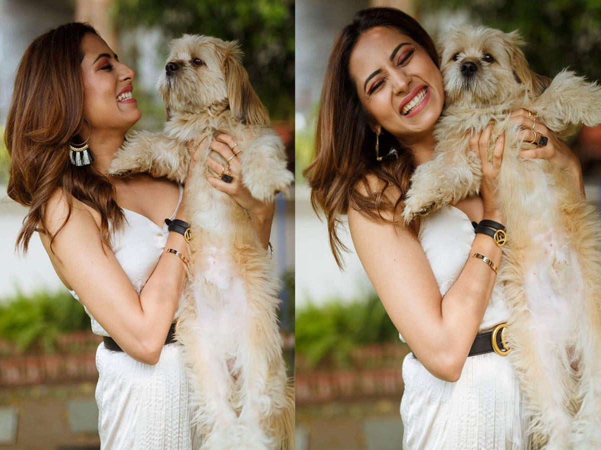 ​Pic: Sargun Mehta poses with the cutest ‘jhalla’