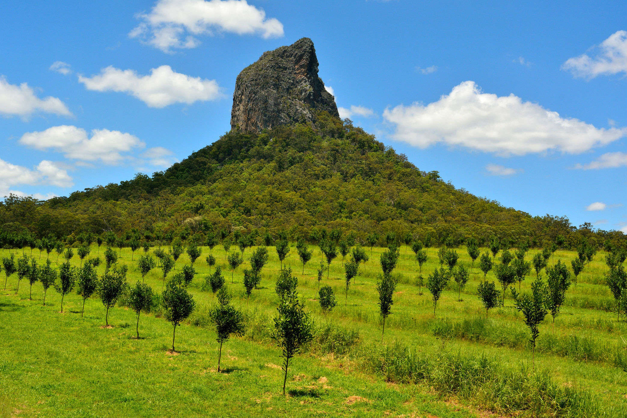 other-aboriginal-sites-of-australia-could-also-be-closed-to-climbers-in