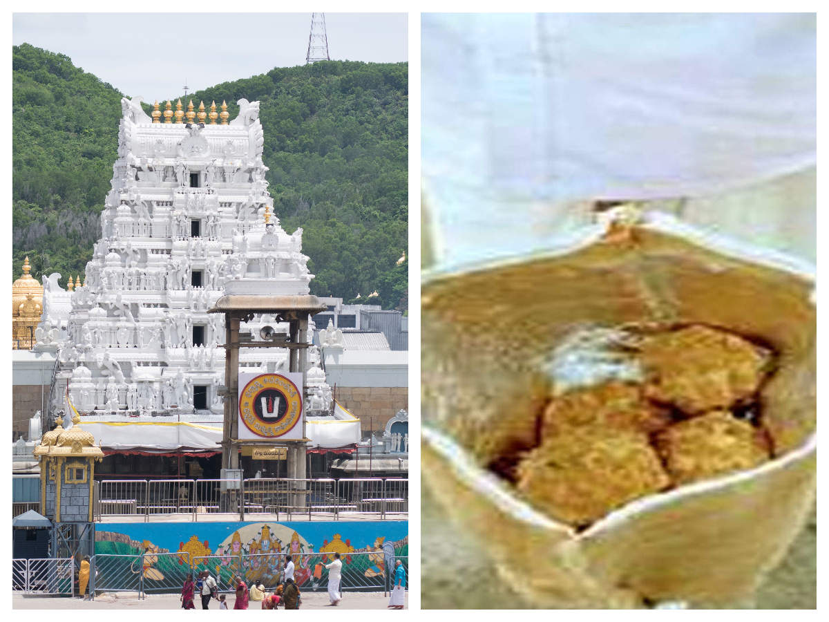 Tirupati Temple Turns Eco-friendly, To Distribute Laddoo Prasadam In ...