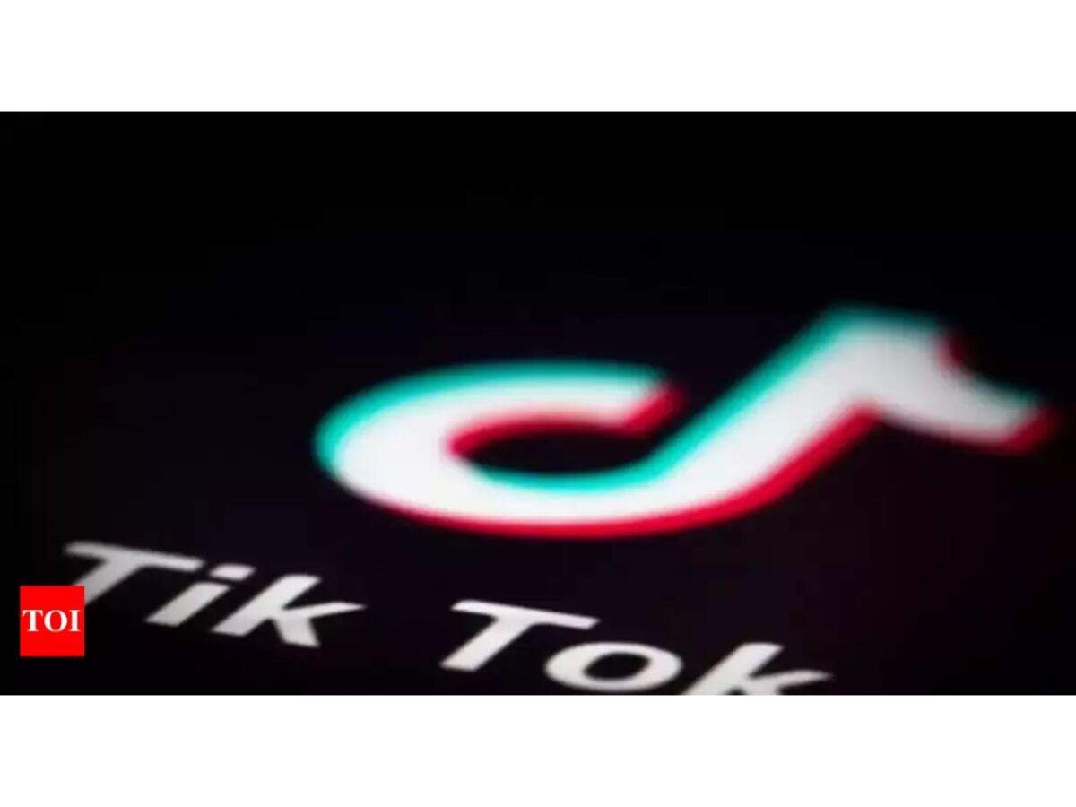 US Army examines TikTok security concerns after Schumer's data warning