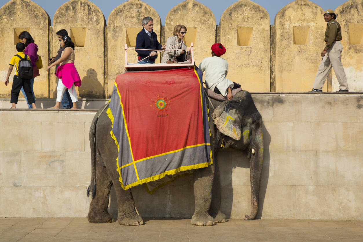 UP: In a first, Elephant Memorial built in memory of elephants that ...