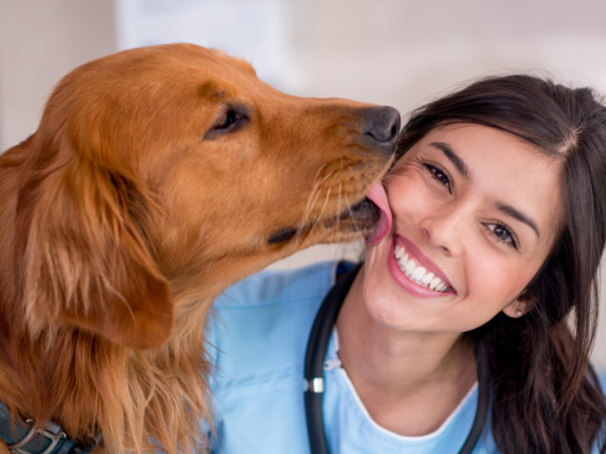 Dog doing girl. Собака лижет ветеринара. Рыжий пес и хозяин. Девушки и собаки поцелуй. Смирнова Анастасия ветеринар.