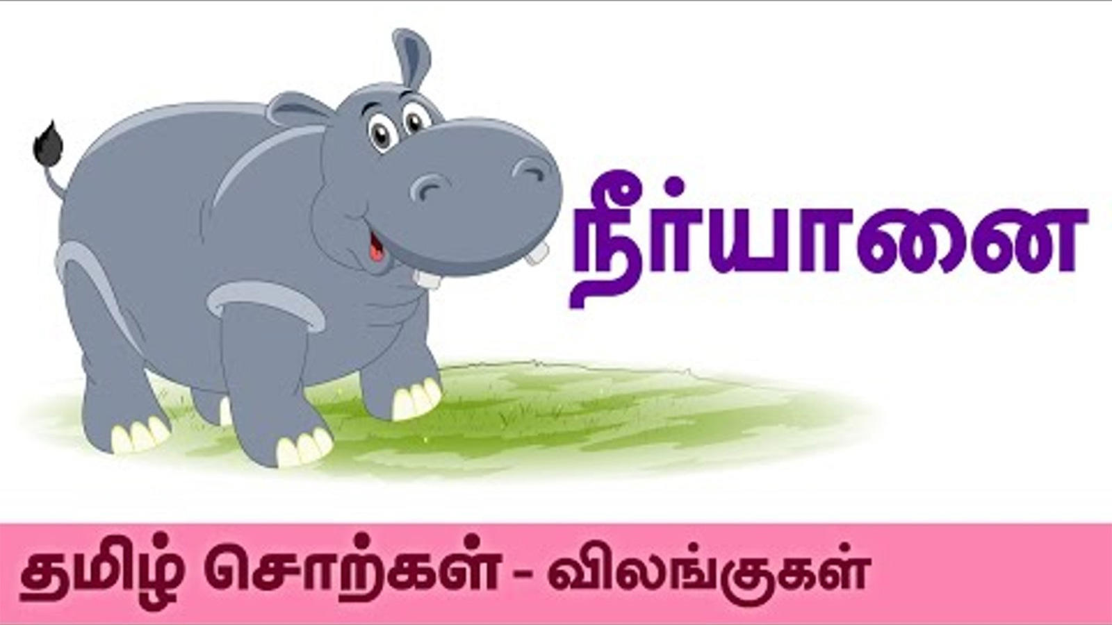 Animals Spelling In Tamil 'நீர்யானை' - Kids Learning Video In Tamil |  Entertainment - Times of India Videos