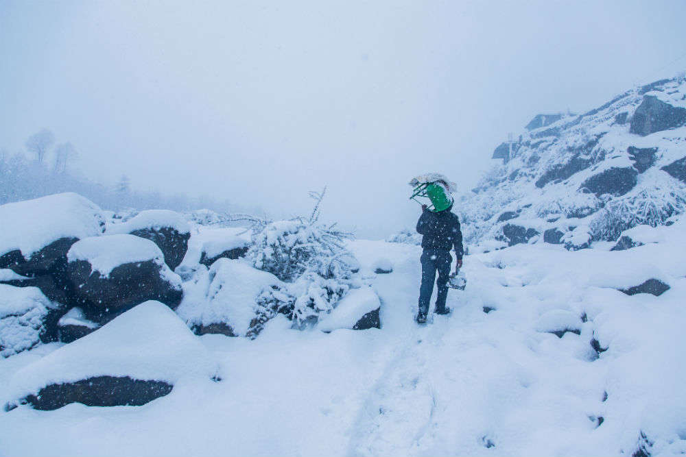 Expect More Rain And Snow In North India Till This Weekend; Northeast ...