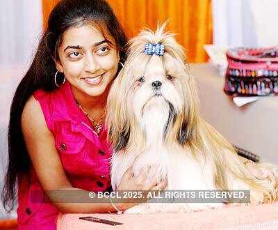 Dog Show at Hebbal