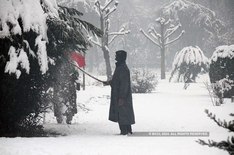 Pictures of intense cold wave gripping the nation will surely make you shiver!