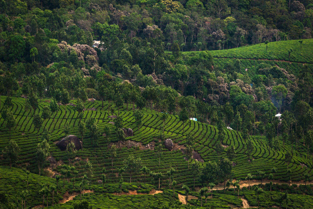 Valley beckons, Araku - Times of India Travel