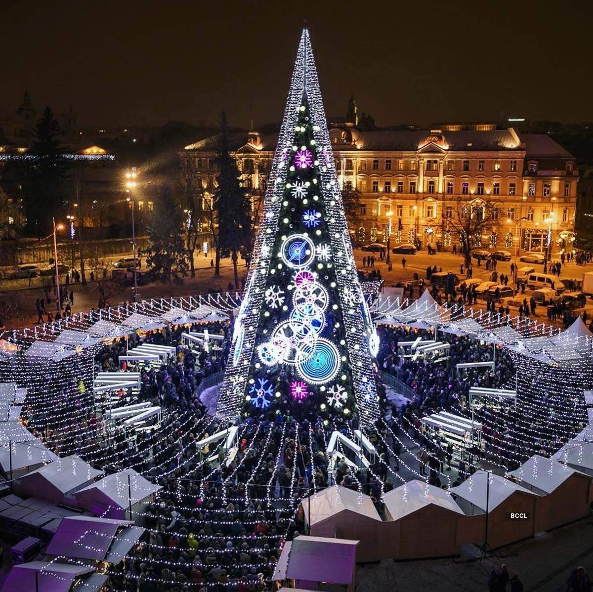 Stunning Christmas trees