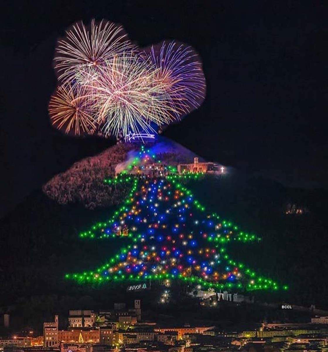 Stunning pictures of Christmas trees from around the world