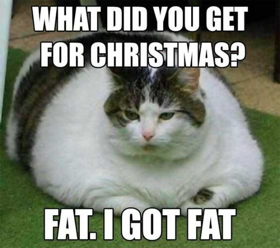 Merry Christmas 2019 Memes Images Photos Messages Wishes Status 10 Funny Christmas Memes That Will Make You Laugh Out Loud